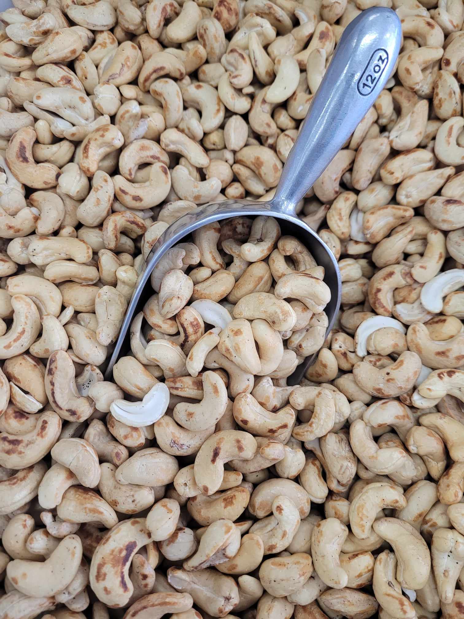 Dry Cashew export product